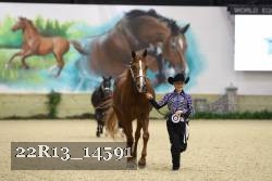 22R13_14591 thumbnail