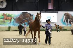 22R13_14593 thumbnail