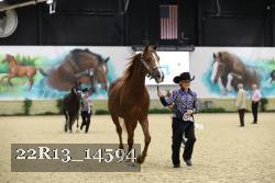 22R13_14594 thumbnail