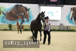 22R13_14600 thumbnail