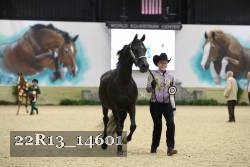 22R13_14601 thumbnail