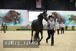 22R13_14602 thumbnail