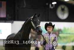 22R13_14603 thumbnail