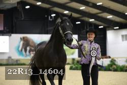 22R13_14604 thumbnail