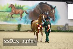 22R13_14607 thumbnail