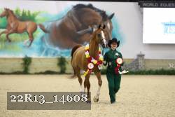 22R13_14608 thumbnail