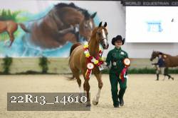 22R13_14610 thumbnail