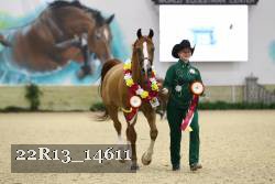 22R13_14611 thumbnail
