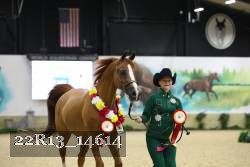 22R13_14614 thumbnail