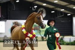 22R13_14616 thumbnail
