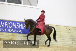 22R13_14784 thumbnail