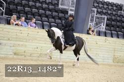 22R13_14827 thumbnail