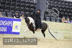 22R13_14828 thumbnail