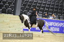 22R13_14829 thumbnail