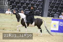 22R13_14830 thumbnail
