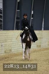 22R13_14831 thumbnail
