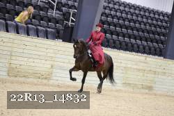 22R13_14832 thumbnail