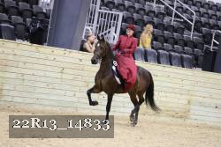 22R13_14833 thumbnail