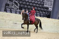 22R13_14834 thumbnail