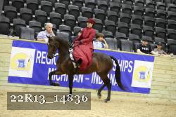 22R13_14836 thumbnail
