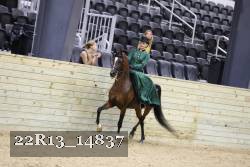 22R13_14837 thumbnail