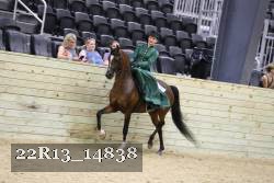 22R13_14838 thumbnail