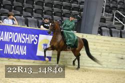 22R13_14840 thumbnail