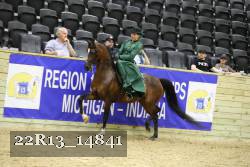 22R13_14841 thumbnail
