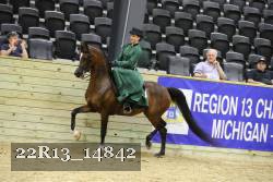 22R13_14842 thumbnail