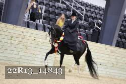 22R13_14843 thumbnail