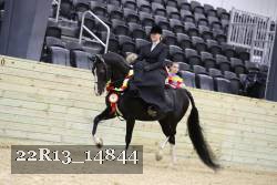 22R13_14844 thumbnail