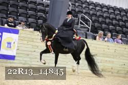22R13_14845 thumbnail