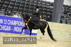 22R13_14846 thumbnail