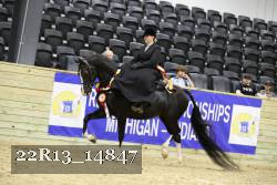 22R13_14847 thumbnail