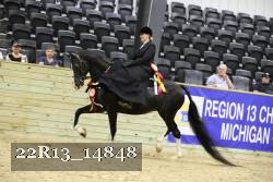 22R13_14848 thumbnail