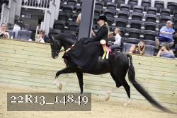 22R13_14849 thumbnail