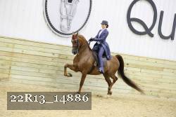 22R13_14886 thumbnail