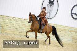 22R13_14901 thumbnail
