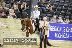 22R13_15044 thumbnail