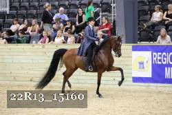 22R13_15160 thumbnail