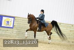 22R13_15220 thumbnail