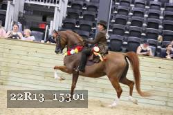 22R13_15301 thumbnail
