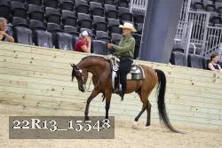 22R13_15548 thumbnail