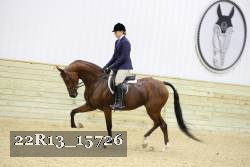22R13_15726 thumbnail