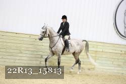 22R13_15813 thumbnail