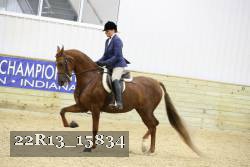 22R13_15834 thumbnail