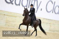 22R13_16022 thumbnail