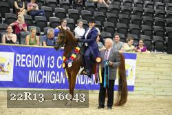 22R13_16043 thumbnail