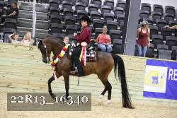 22R13_16340 thumbnail