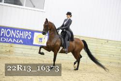 22R13_16373 thumbnail